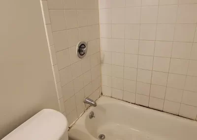 Bathroom Refinishing